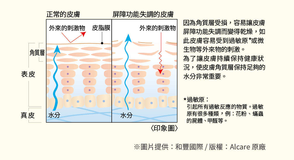 屏障功能失調的皮膚