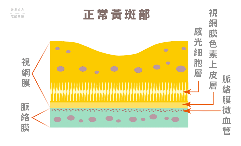 視力保健