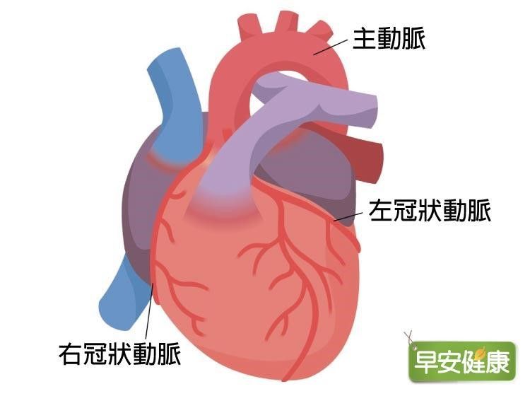 心臟病