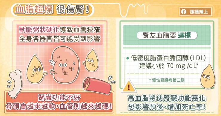 血脂超標很傷腎!