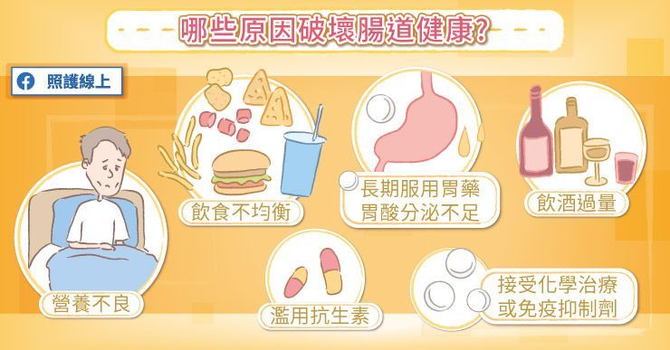 哪些原因會破壞腸健康