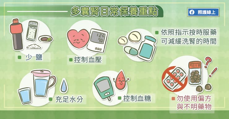 腎臟