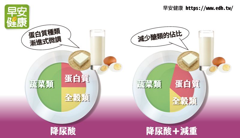 蛋白質