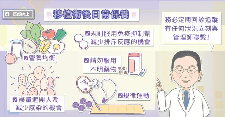 腎臟