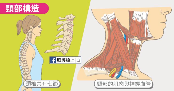 頸部