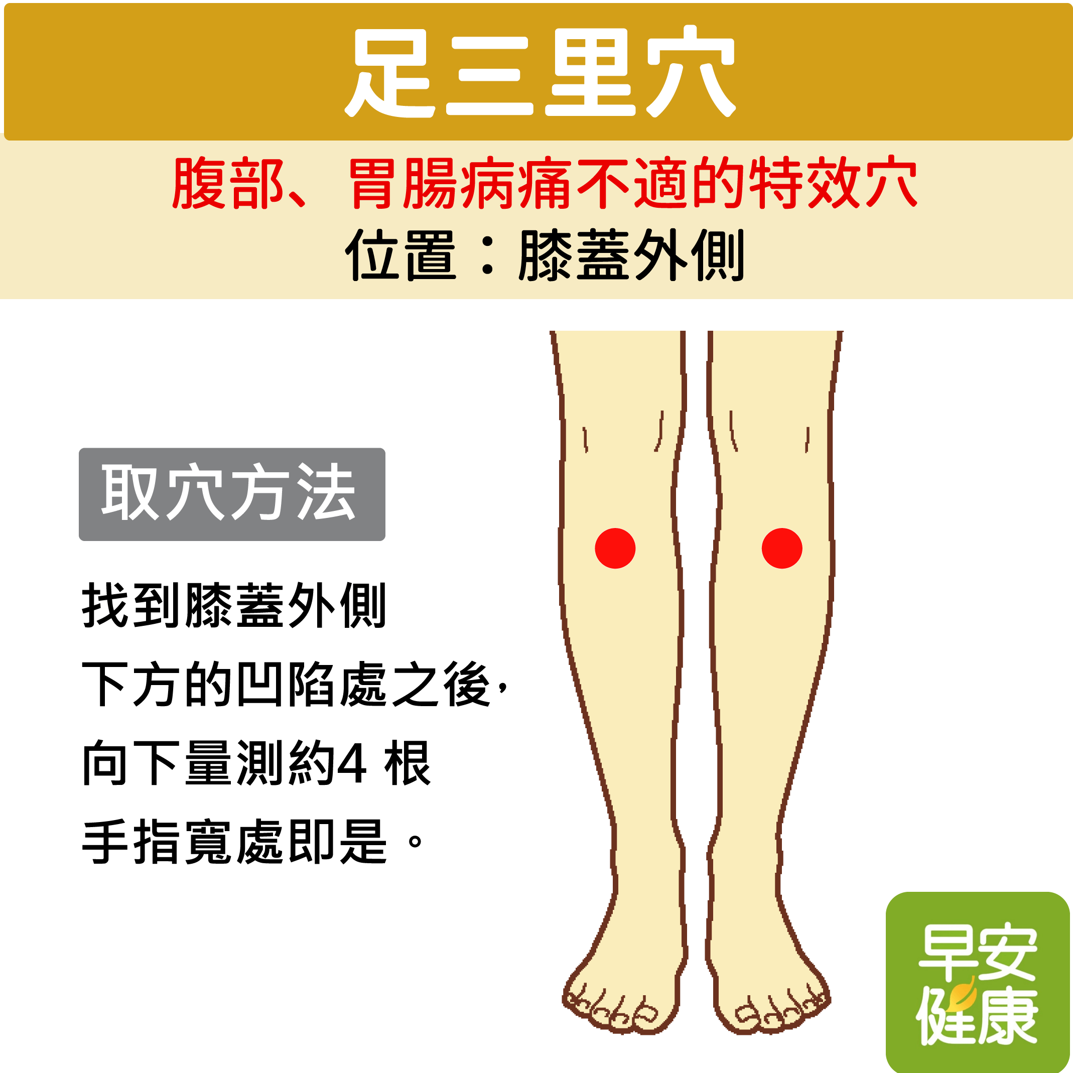 足三里穴
